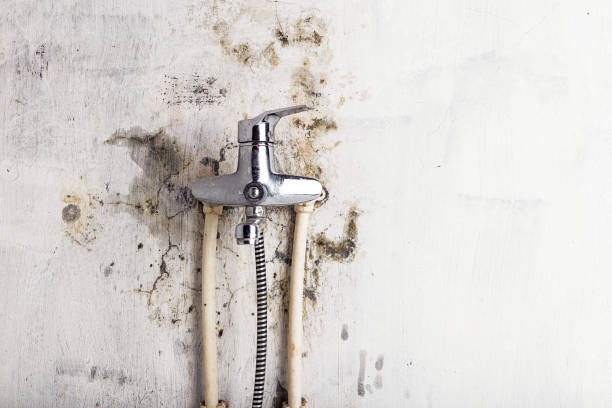 Best Emergency Mold Removal  in Fairlawn, OH